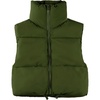 Armygreen